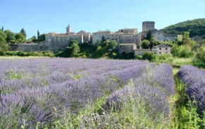 Stone house in the medieval village of Montclus (Gard)